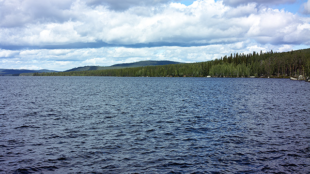 A view over a lake with forest in the background and a cloudy sky