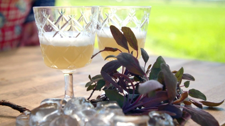 Salvia whiskey sour i höga glas.