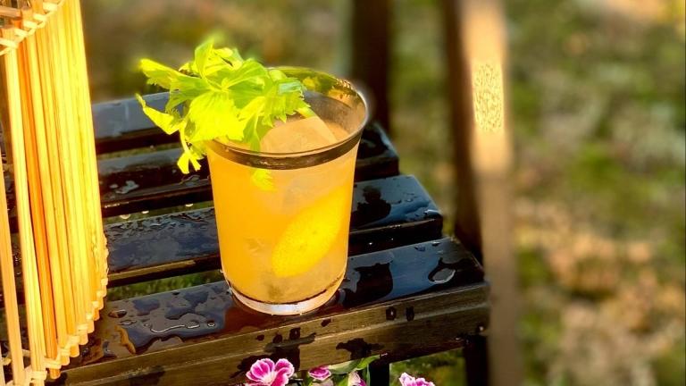 Ett glas med guldkant fyllt med orange vätska och dekorerat med selleri och is.